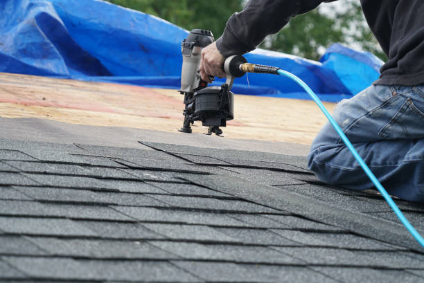 Best Local Roofing Companies  in Saltillo, MS